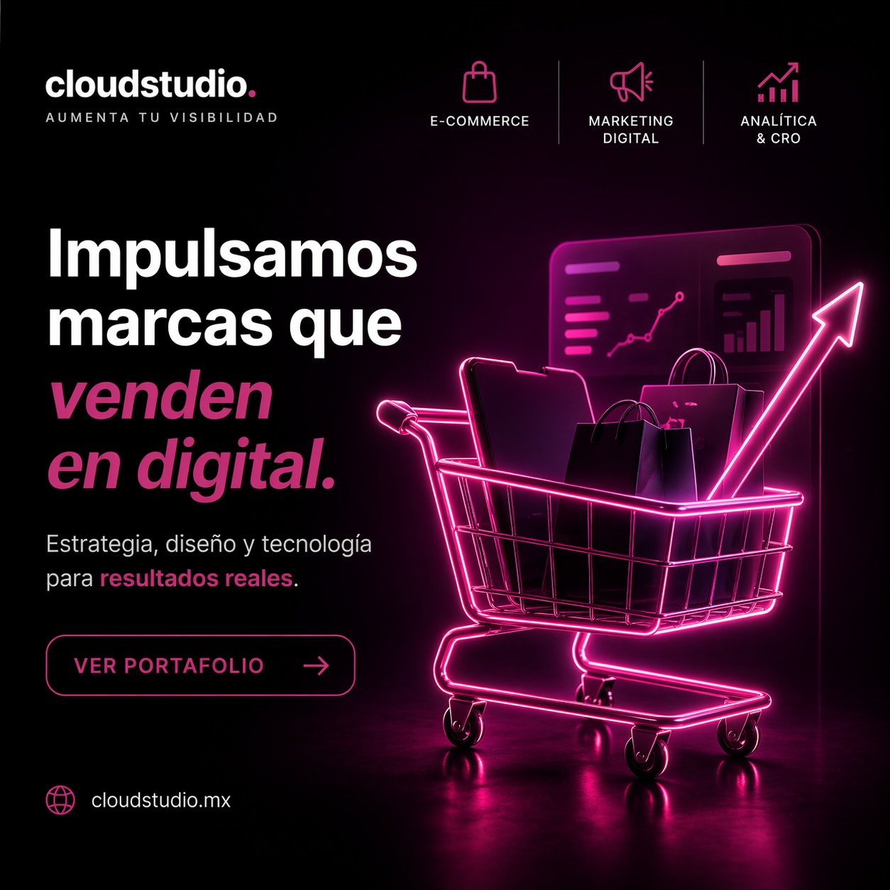 Descripción de la imagen cargada