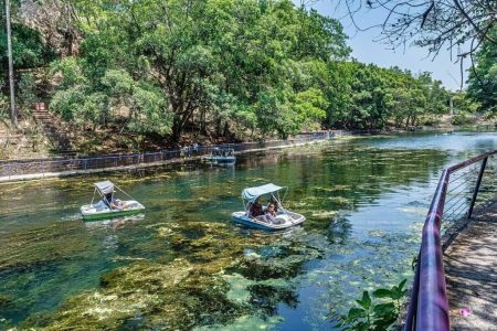 Un río oculto vuelve a la vida en Chapultepec: el proyecto que transforma la Cuarta Sección