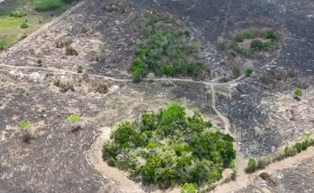 Descubren una nueva ciudad maya en el sur de Quintana Roo y la llaman el Jefeciño