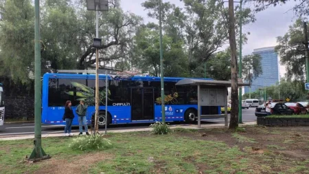 Así es la Línea 0 del Trolebús El Chapulín que conecta Chapultepec con CU