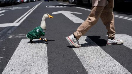 La FIFA busca al pato Merlín: ¿nueva mascota del Mundial o una multa pendiente?