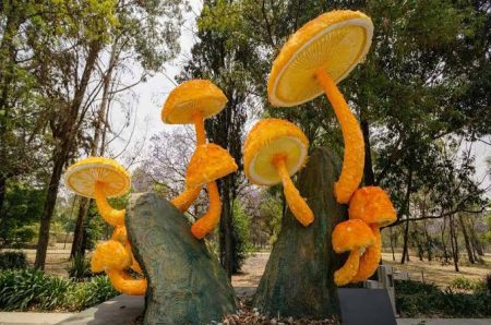 Hongosto llega con 43 actividades gratuitas para descubrir el fascinante reino fungi