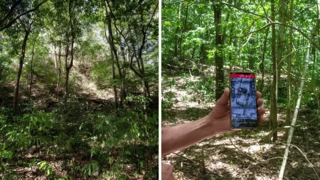 El Yesal: descubren enorme ciudad maya que emerge de la selva de Balam Kú