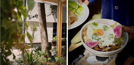 Lindy, cocina de autor en un rincón encantador del Parque México
