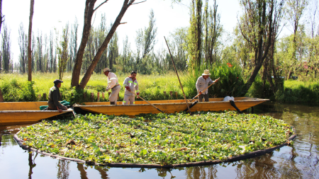 Fundación Kalmekak: el proyecto que busca devolver la vida a las chinampas de Xochimilco
