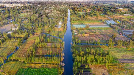 Xochimilco podría ganar escudo constitucional para proteger su patrimonio mundial