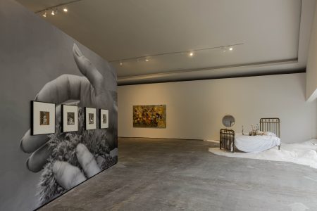 Una obsesión por las flores, la bellísima exposición que se presenta en Lago Algo