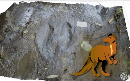 Descubren huellas de dinosaurios en Michoacán: un viaje de 65 millones de años