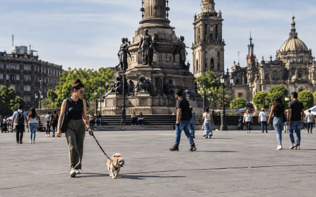 ¿Cuales son las nuevas sanciones y multas que considera la Ley de Cultura Cívica en CDMX?