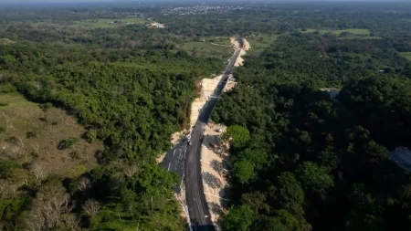 Ruta de las Culturas Mayas: Greenpeace pide frenar la carretera Palenque-San Cristóbal