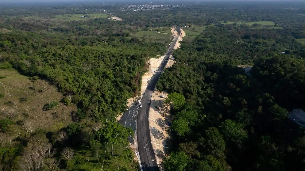 Ruta de las Culturas Mayas: Greenpeace pide frenar la carretera Palenque-San Cristóbal