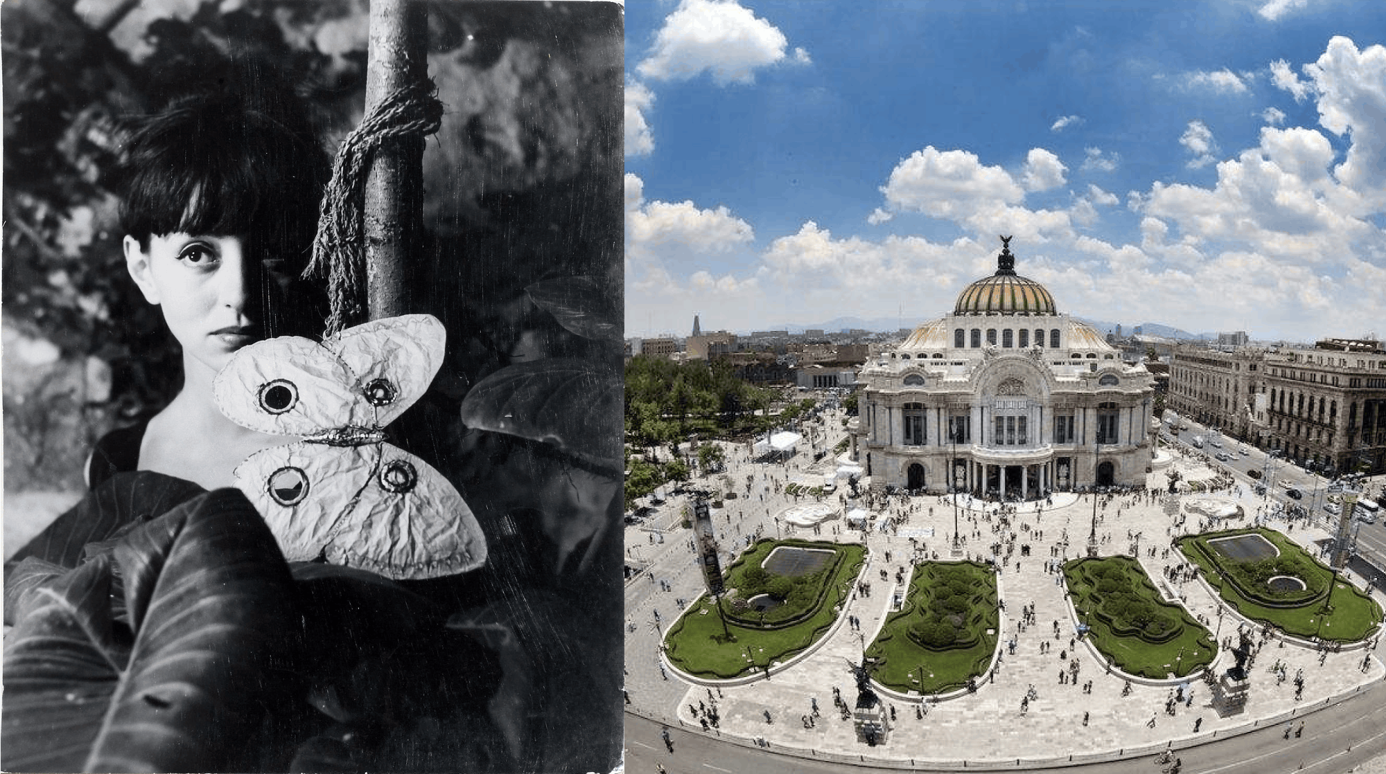La magia surrealista de Kati Horna llega al Palacio de Bellas Artes