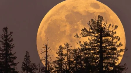 La Luna del cazador iluminará el cielo de México durante la noche del 25 de octubre