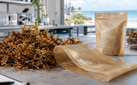 Una nueva empresa de Yucatán convierte sargazo en bioplásticos